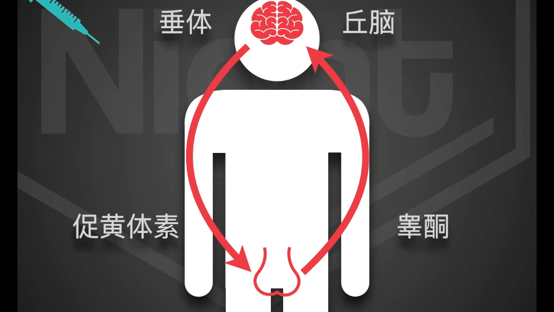 关于用类固醇以后睾酮低是怎么回事的信息