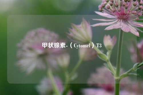 甲状腺素-（Cytomel）T3