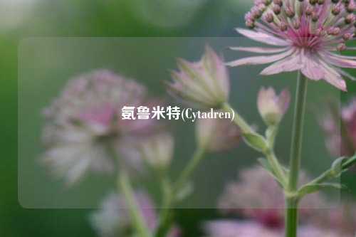 氨鲁米特(Cytadren)