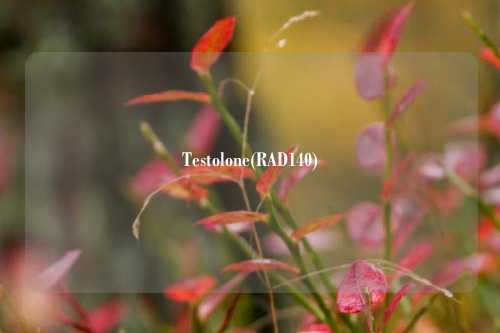 Testolone(RAD140)