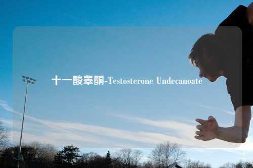 十一酸睾酮-Testosterone Undecanoate