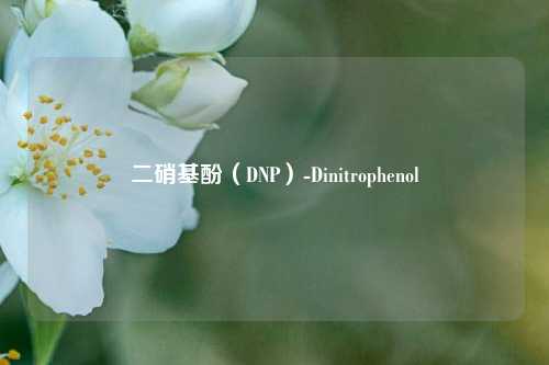 二硝基酚（DNP）-Dinitrophenol