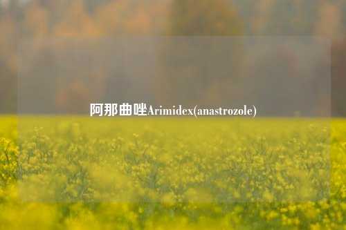 阿那曲唑Arimidex(anastrozole)