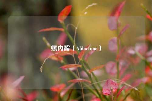 螺内酯（Aldactone）