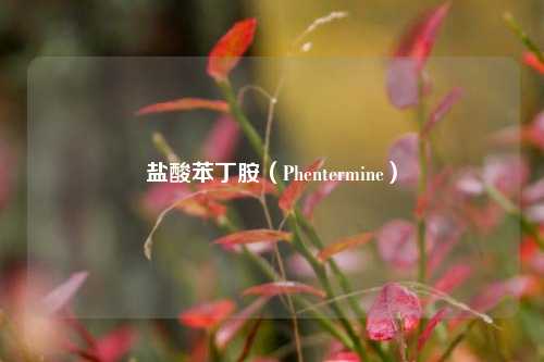 盐酸苯丁胺（Phentermine）