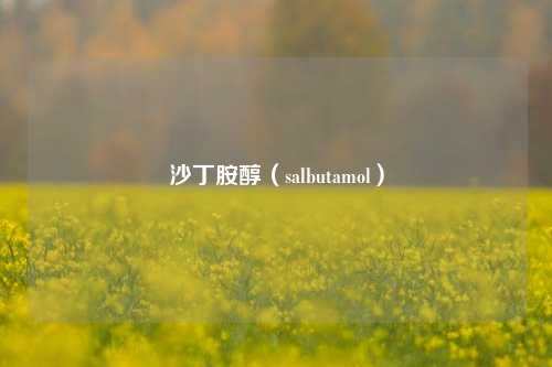 沙丁胺醇（salbutamol）