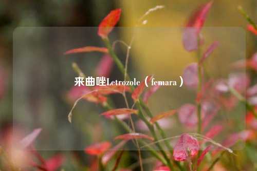 来曲唑Letrozole（femara）