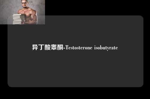 异丁酸睾酮-Testosterone isobutyrate