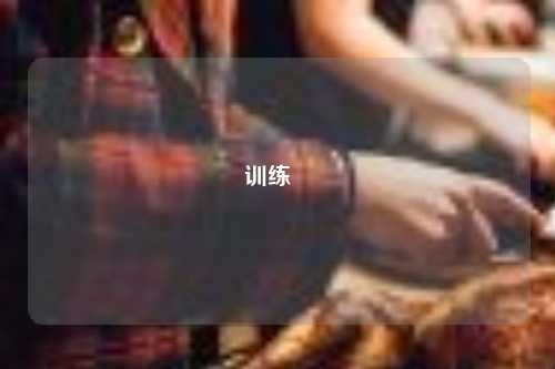 训练   