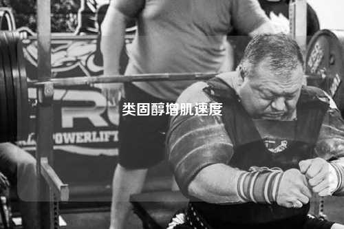类固醇增肌速度